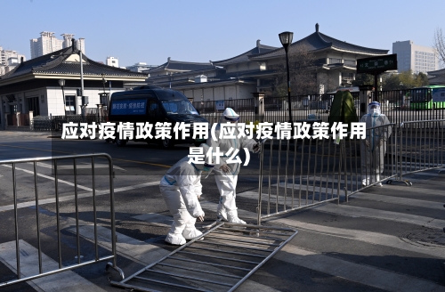 应对疫情政策作用(应对疫情政策作用是什么)