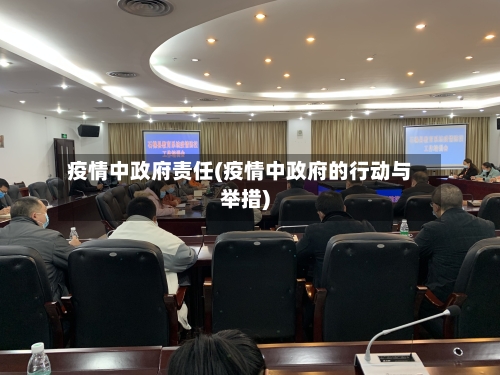 疫情中政府责任(疫情中政府的行动与举措)