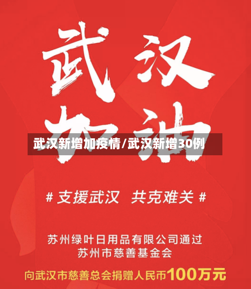 武汉新增加疫情/武汉新增30例