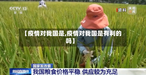 【疫情对我国是,疫情对我国是有利的吗】-第2张图片