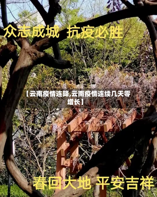 【云南疫情连降,云南疫情连续几天零增长】-第3张图片