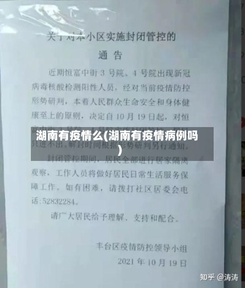 湖南有疫情么(湖南有疫情病例吗)-第3张图片