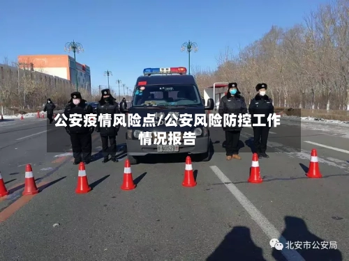 公安疫情风险点/公安风险防控工作情况报告