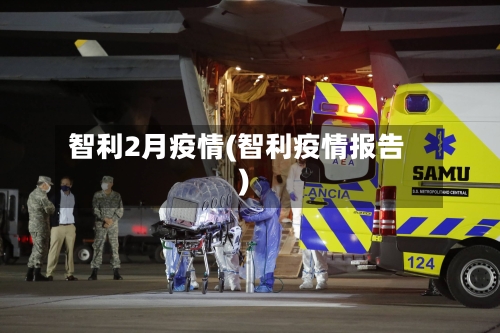 智利2月疫情(智利疫情报告)-第3张图片