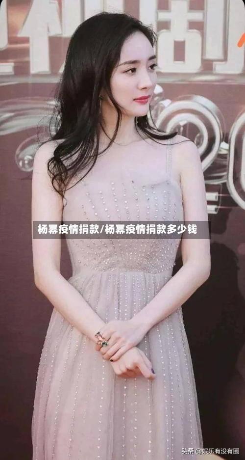 杨幂疫情捐款/杨幂疫情捐款多少钱-第2张图片