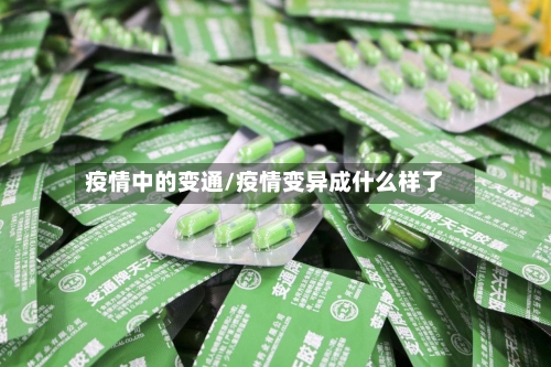 疫情中的变通/疫情变异成什么样了