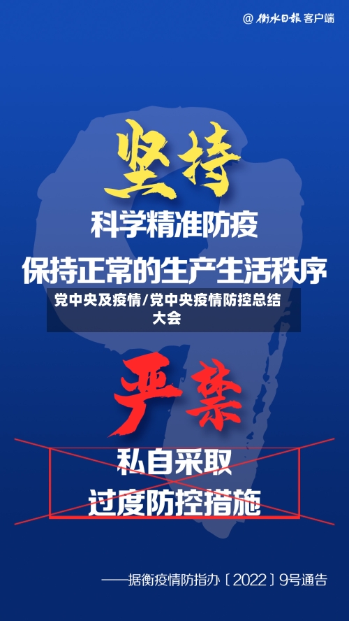 党中央及疫情/党中央疫情防控总结大会