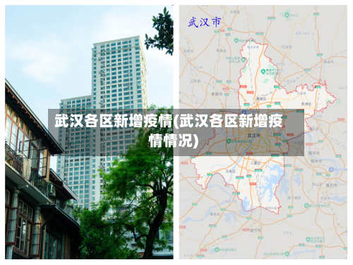 武汉各区新增疫情(武汉各区新增疫情情况)