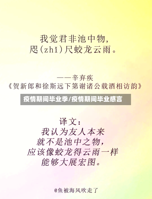 疫情期间毕业季/疫情期间毕业感言