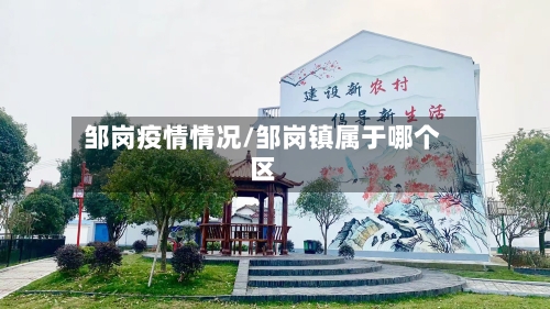 邹岗疫情情况/邹岗镇属于哪个区-第2张图片