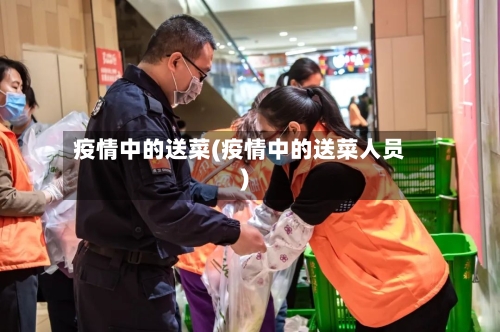 疫情中的送菜(疫情中的送菜人员)