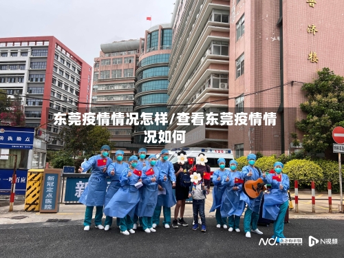 东莞疫情情况怎样/查看东莞疫情情况如何