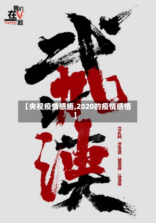 【央视疫情感悟,2020的疫情感悟】-第2张图片