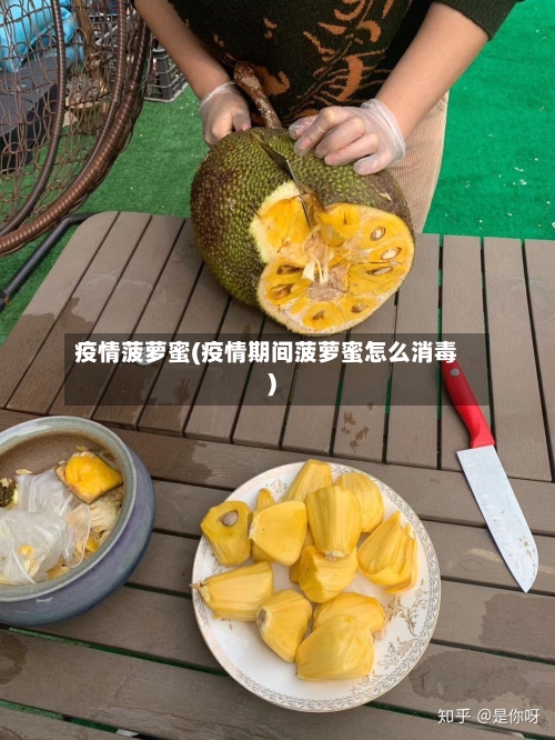 疫情菠萝蜜(疫情期间菠萝蜜怎么消毒)
