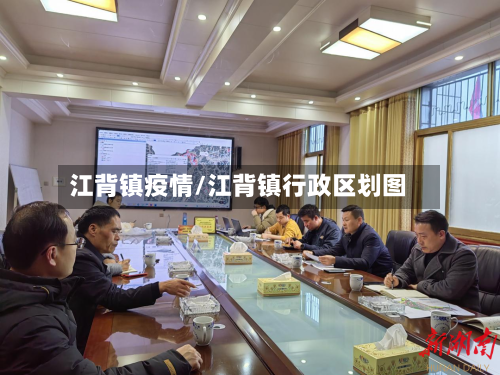 江背镇疫情/江背镇行政区划图