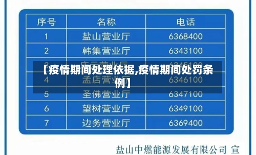 【疫情期间处理依据,疫情期间处罚条例】-第3张图片
