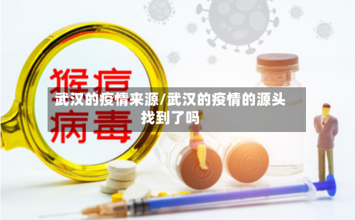 武汉的疫情来源/武汉的疫情的源头找到了吗-第2张图片