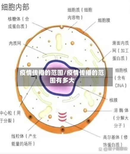 疫情传播的范围/疫情传播的范围有多大-第2张图片