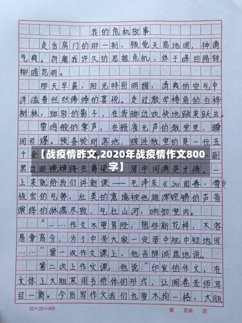 【战疫情昨文,2020年战疫情作文800字】-第3张图片