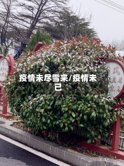 疫情未尽雪来/疫情未已-第2张图片