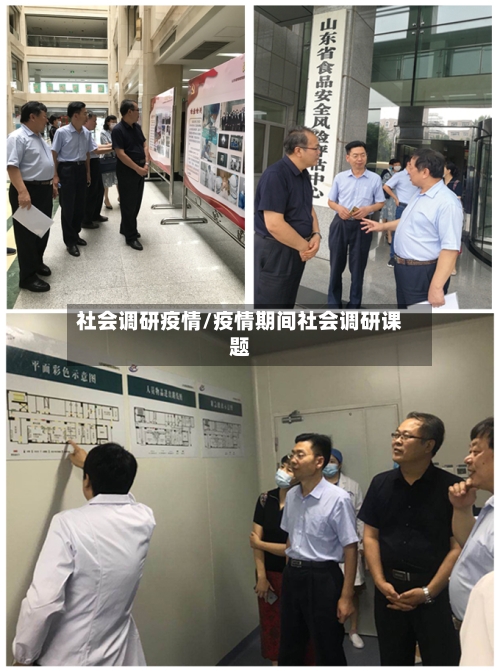 社会调研疫情/疫情期间社会调研课题