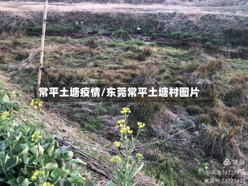 常平土塘疫情/东莞常平土塘村图片-第2张图片