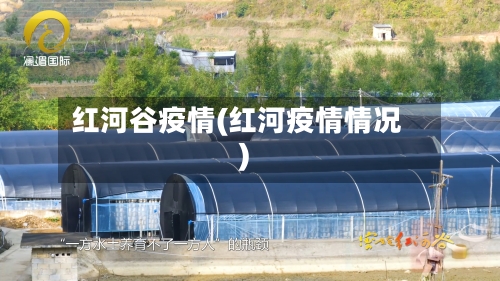 红河谷疫情(红河疫情情况)