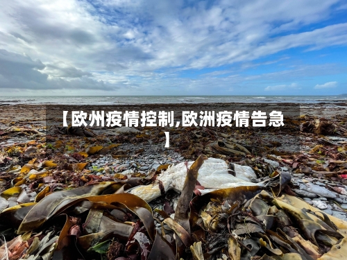 【欧州疫情控制,欧洲疫情告急】