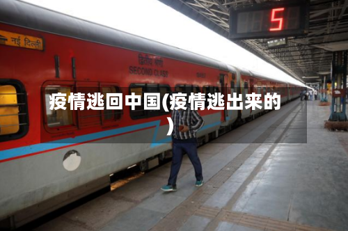 疫情逃回中国(疫情逃出来的)-第2张图片