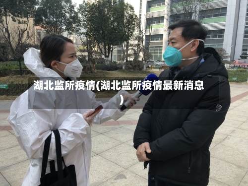 湖北监所疫情(湖北监所疫情最新消息)-第3张图片