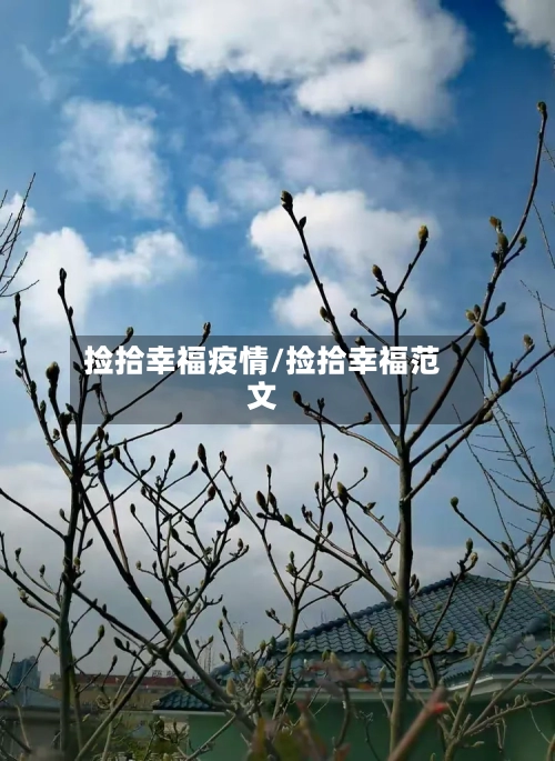 捡拾幸福疫情/捡拾幸福范文-第3张图片