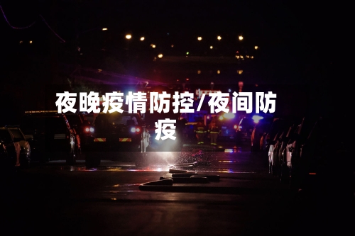 夜晚疫情防控/夜间防疫
