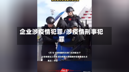 企业涉疫情犯罪/涉疫情刑事犯罪