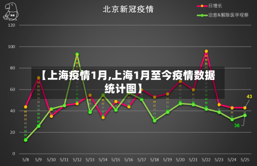 【上海疫情1月,上海1月至今疫情数据统计图】