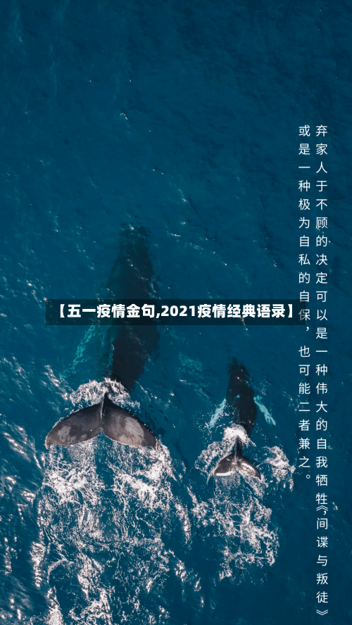 【五一疫情金句,2021疫情经典语录】-第2张图片