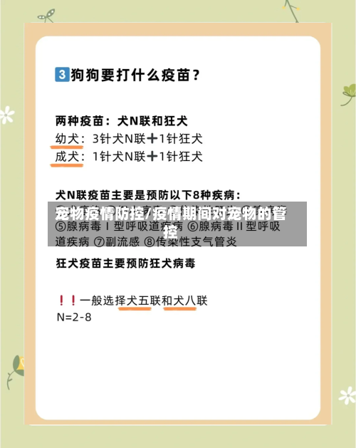 宠物疫情防控/疫情期间对宠物的管控
