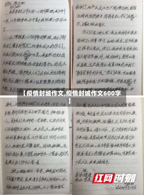【疫情封城作文,疫情封城作文600字】