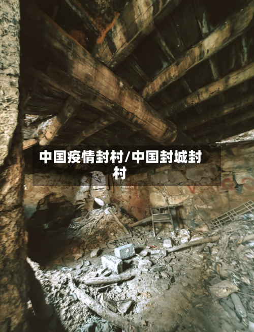 中国疫情封村/中国封城封村-第2张图片