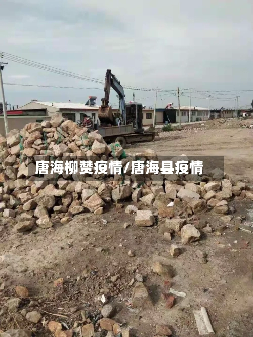 唐海柳赞疫情/唐海县疫情-第3张图片