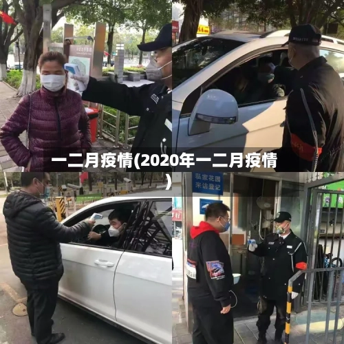 一二月疫情(2020年一二月疫情)-第2张图片