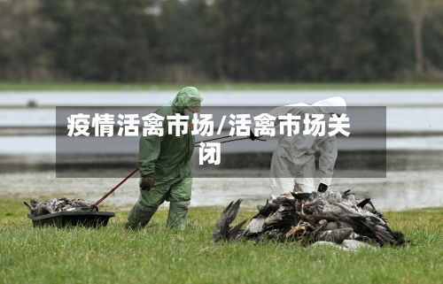 疫情活禽市场/活禽市场关闭