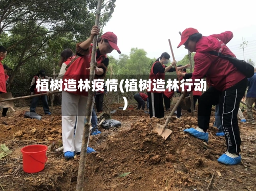 植树造林疫情(植树造林行动)-第3张图片