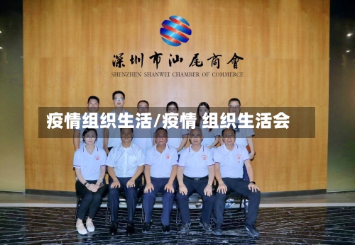 疫情组织生活/疫情 组织生活会-第2张图片