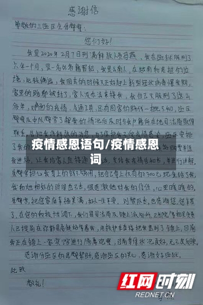 疫情感恩语句/疫情感恩词-第2张图片