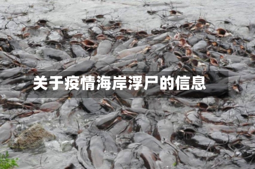 关于疫情海岸浮尸的信息