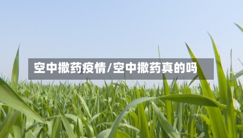空中撒药疫情/空中撒药真的吗-第2张图片