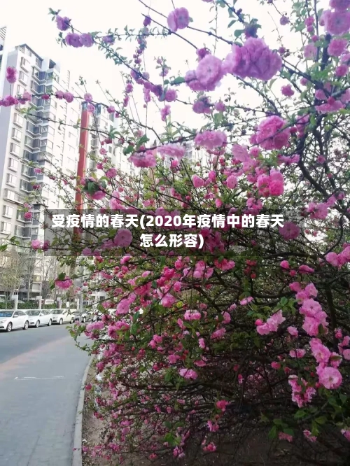 受疫情的春天(2020年疫情中的春天怎么形容)