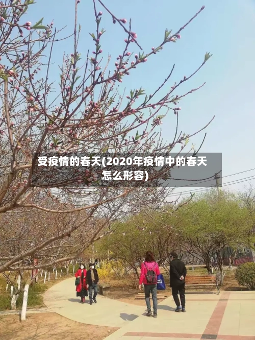 受疫情的春天(2020年疫情中的春天怎么形容)-第2张图片