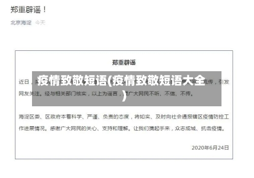疫情致敬短语(疫情致敬短语大全)-第2张图片