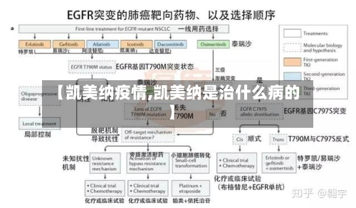 【凯美纳疫情,凯美纳是治什么病的】